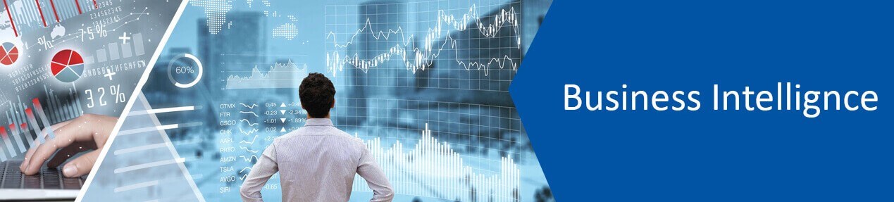 BI Software Development company