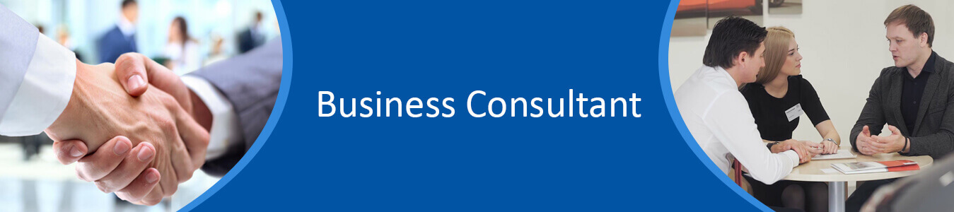 Business Consulting